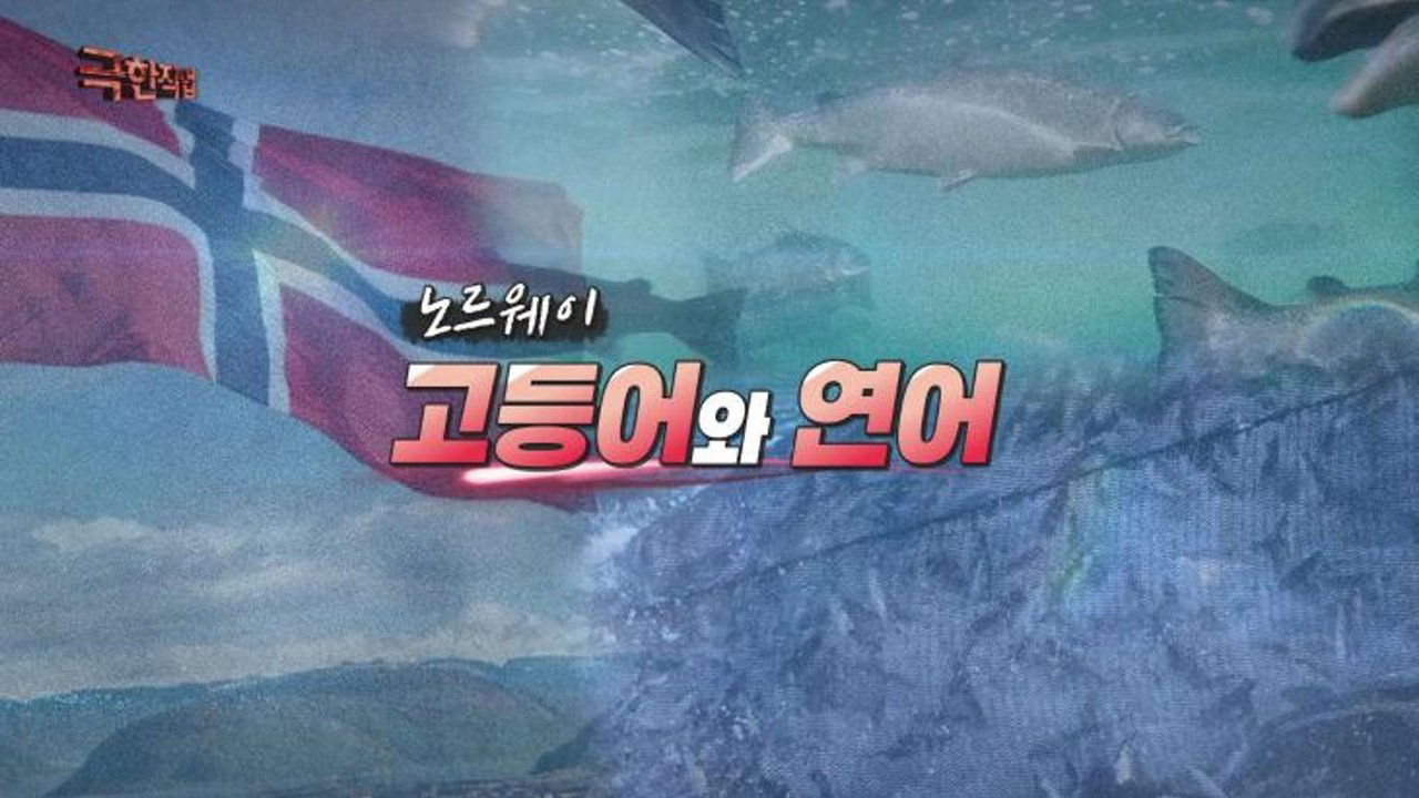 Extreme Job - Season 1 Episode 1203 : Episode 1203