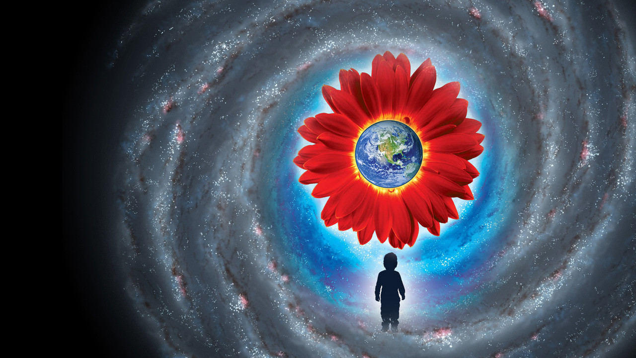 Cast and Crew of Growing Up in the Universe