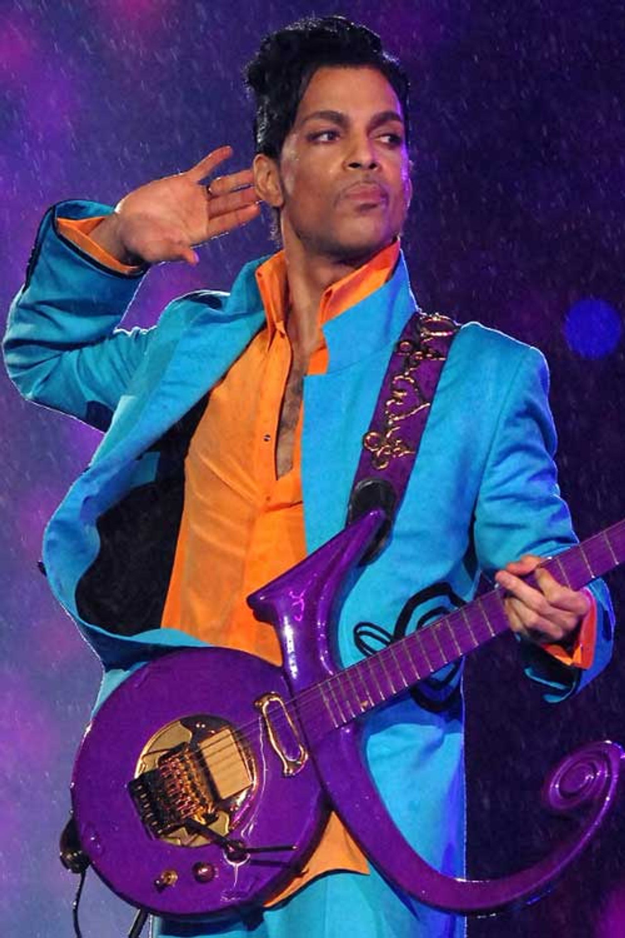 Prince: The Final Secret filmaffisch