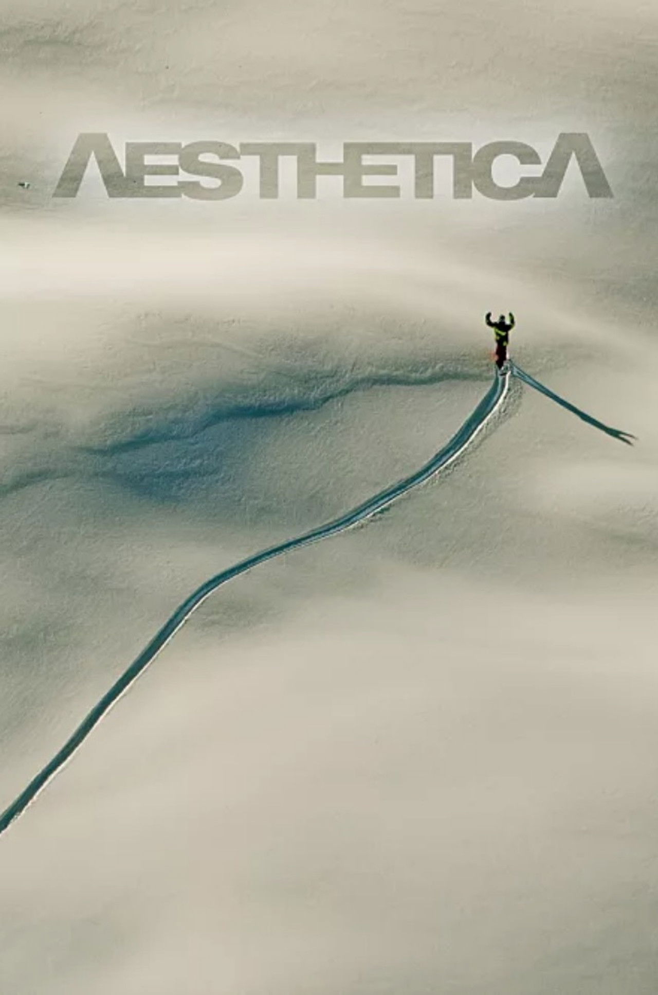Aesthetica Backdrop