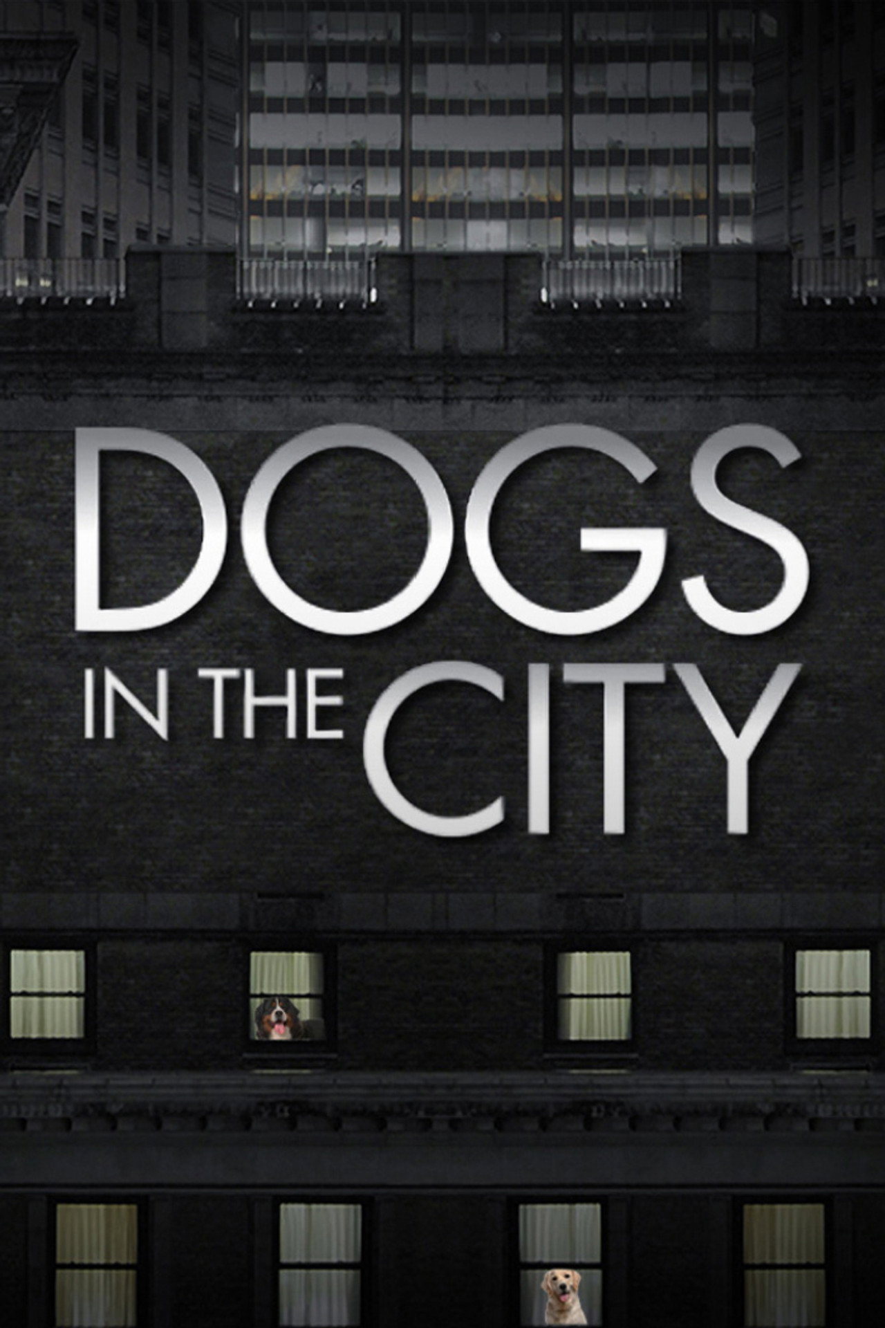 Dogs In The City affisch
