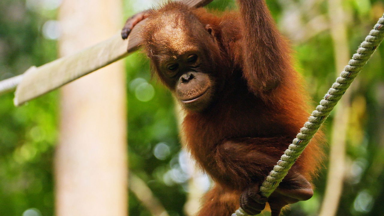 Deadly 60 — Épisode 7