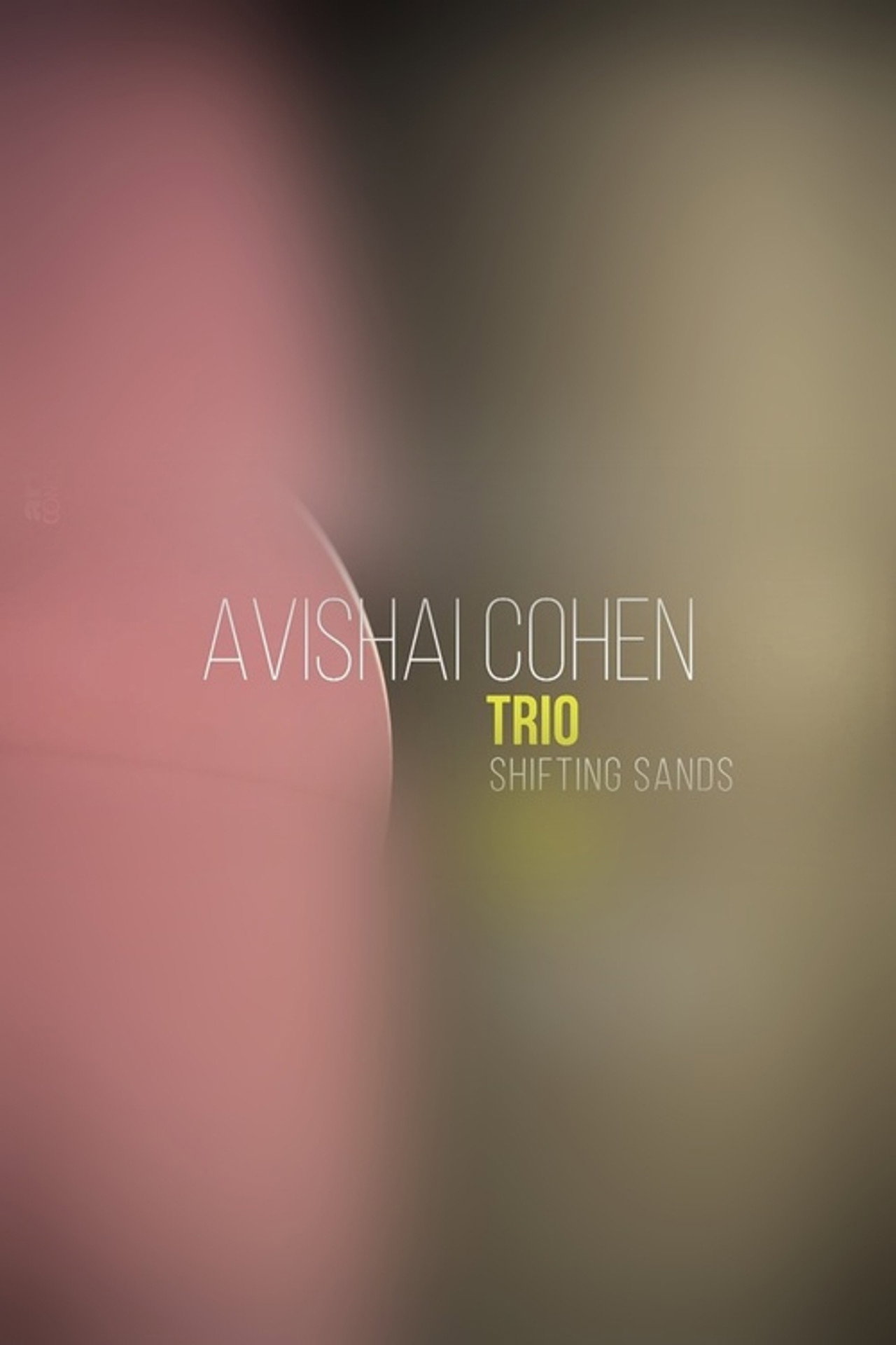 Avishai Cohen Trio - En session privée au Théâtre du Maillon, Strasbourg Backdrop