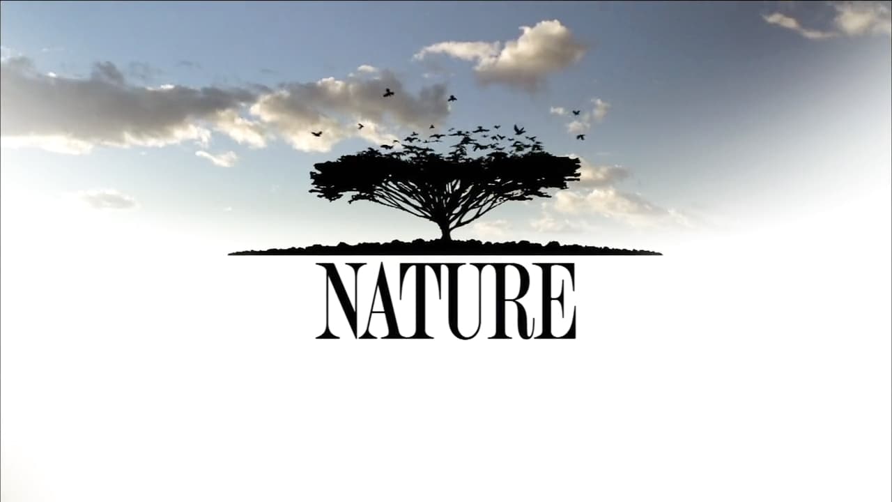 Nature - Season 6 Episode 12 : Hawaii: Islands of the Fire Goddess