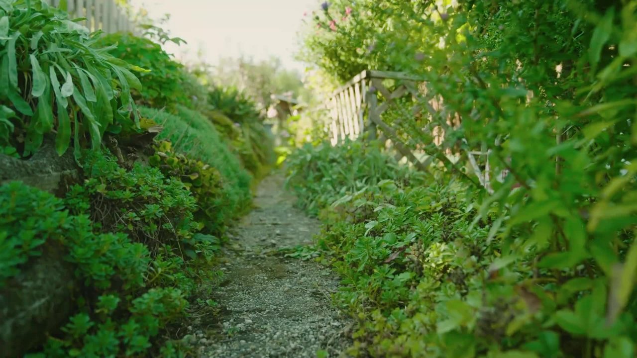Natur im Garten - Season 27 Episode 6 : Episode 6