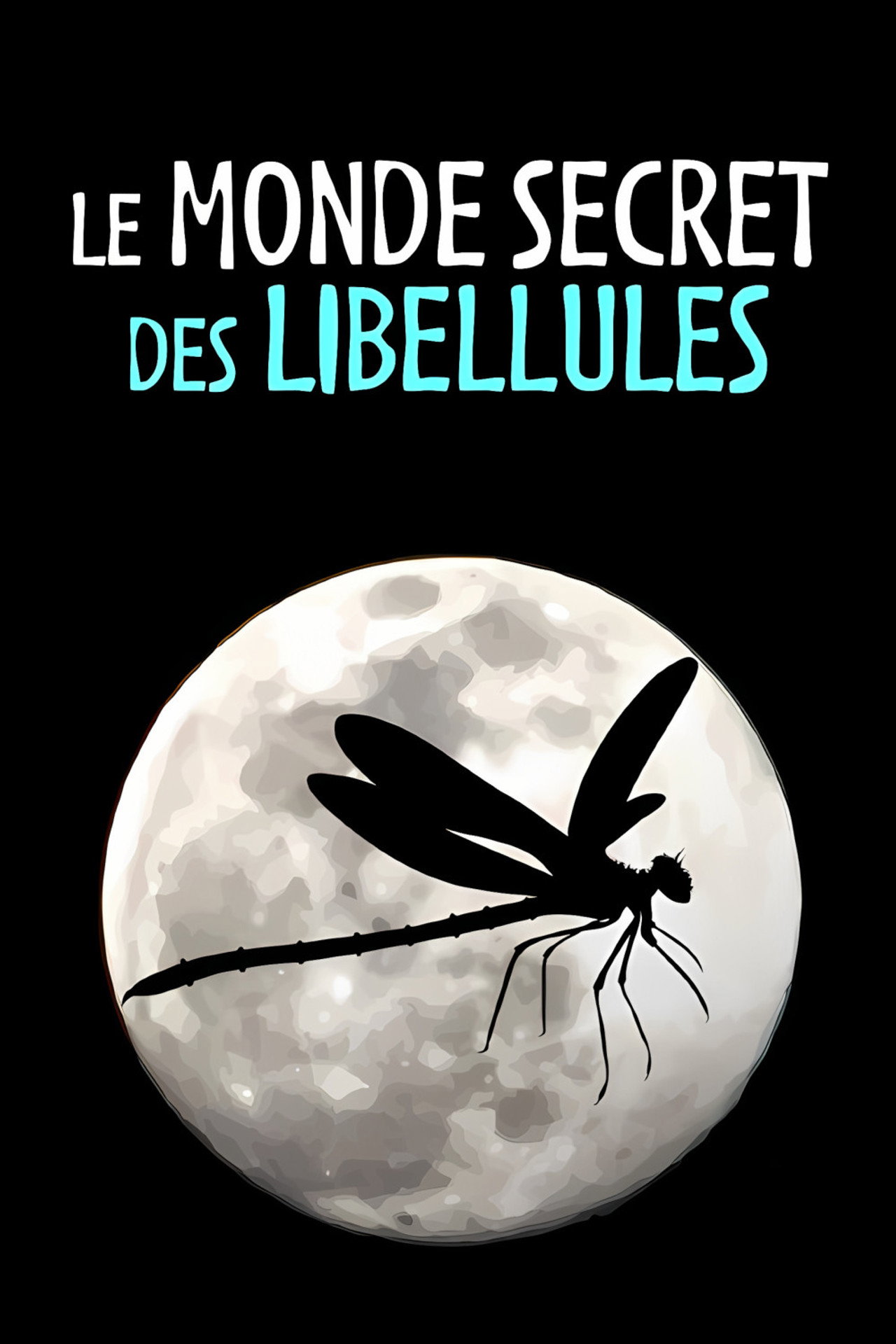 Le Monde secret des libellules filmaffisch