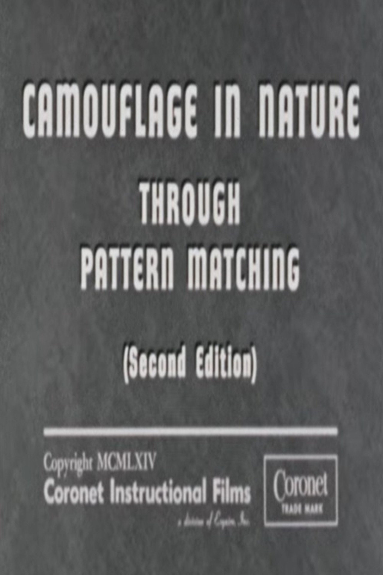 Camouflage In Nature: Through Pattern Matching (Second Edition) poster