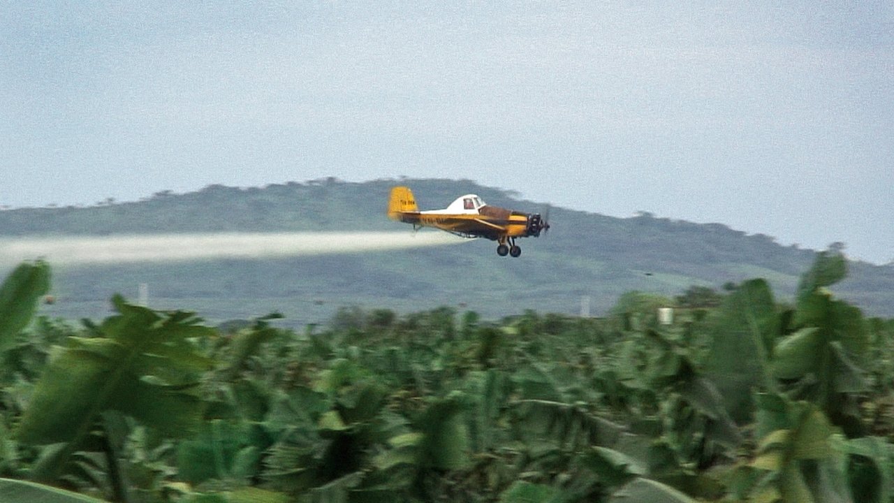 Bananas!* Movies Online Streaming Guide The Streamable