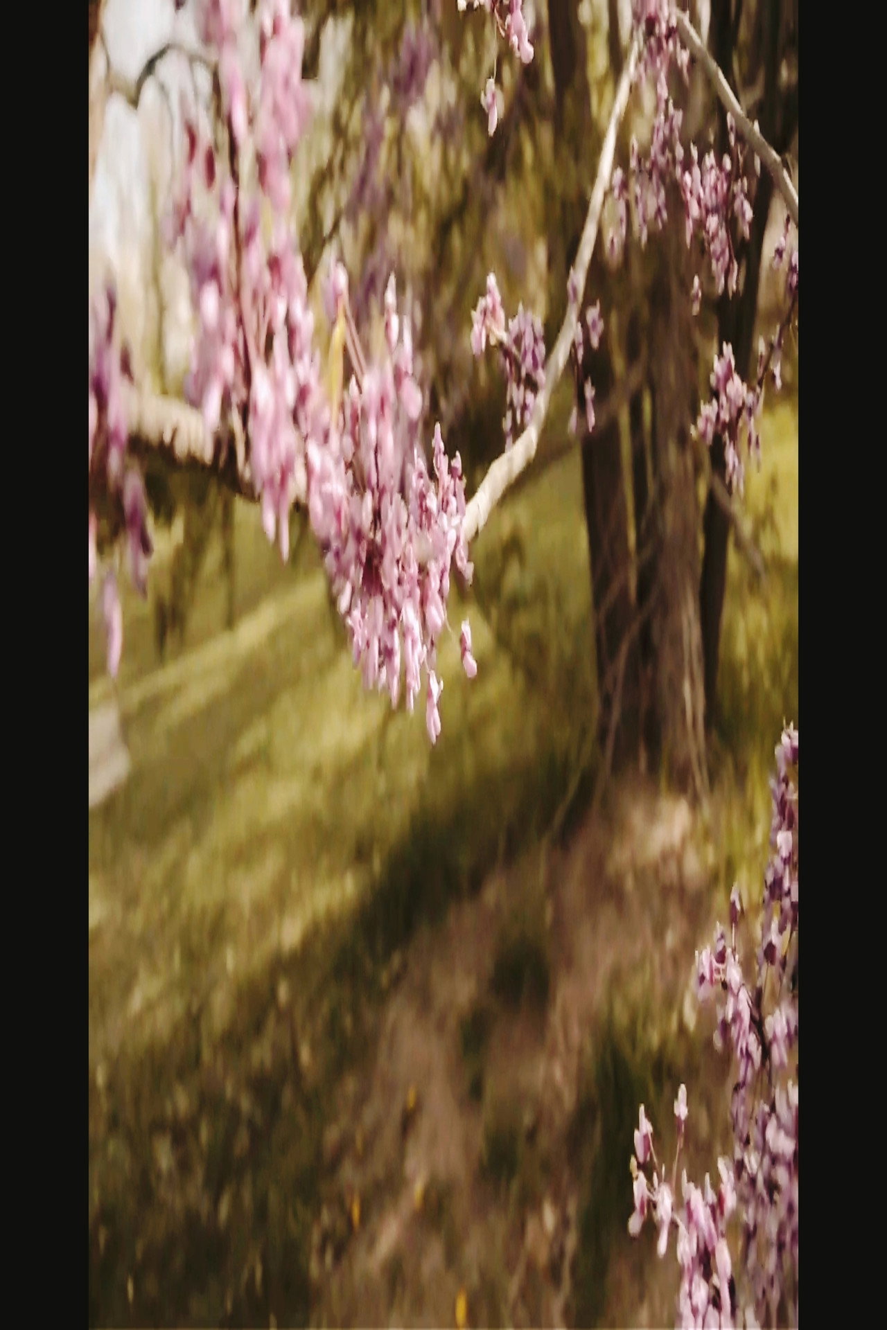 3/1 and 3/3 (Bountiful Gems) filmaffisch