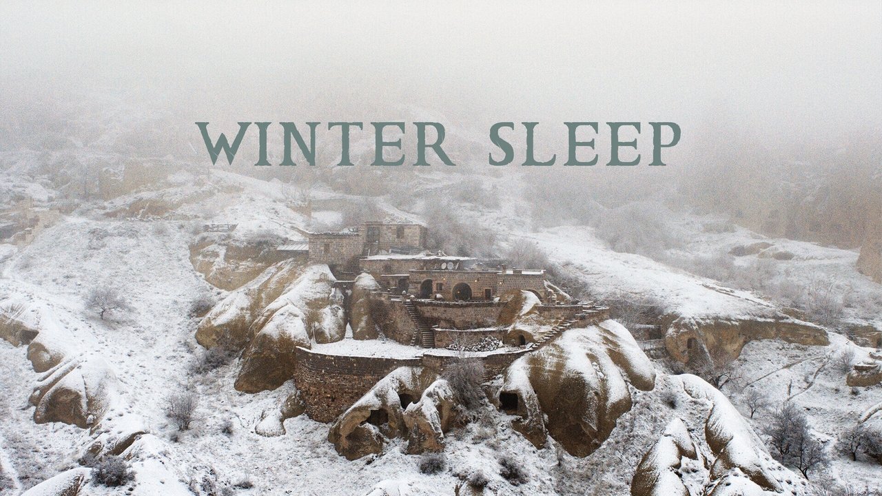 Winter Sleep background