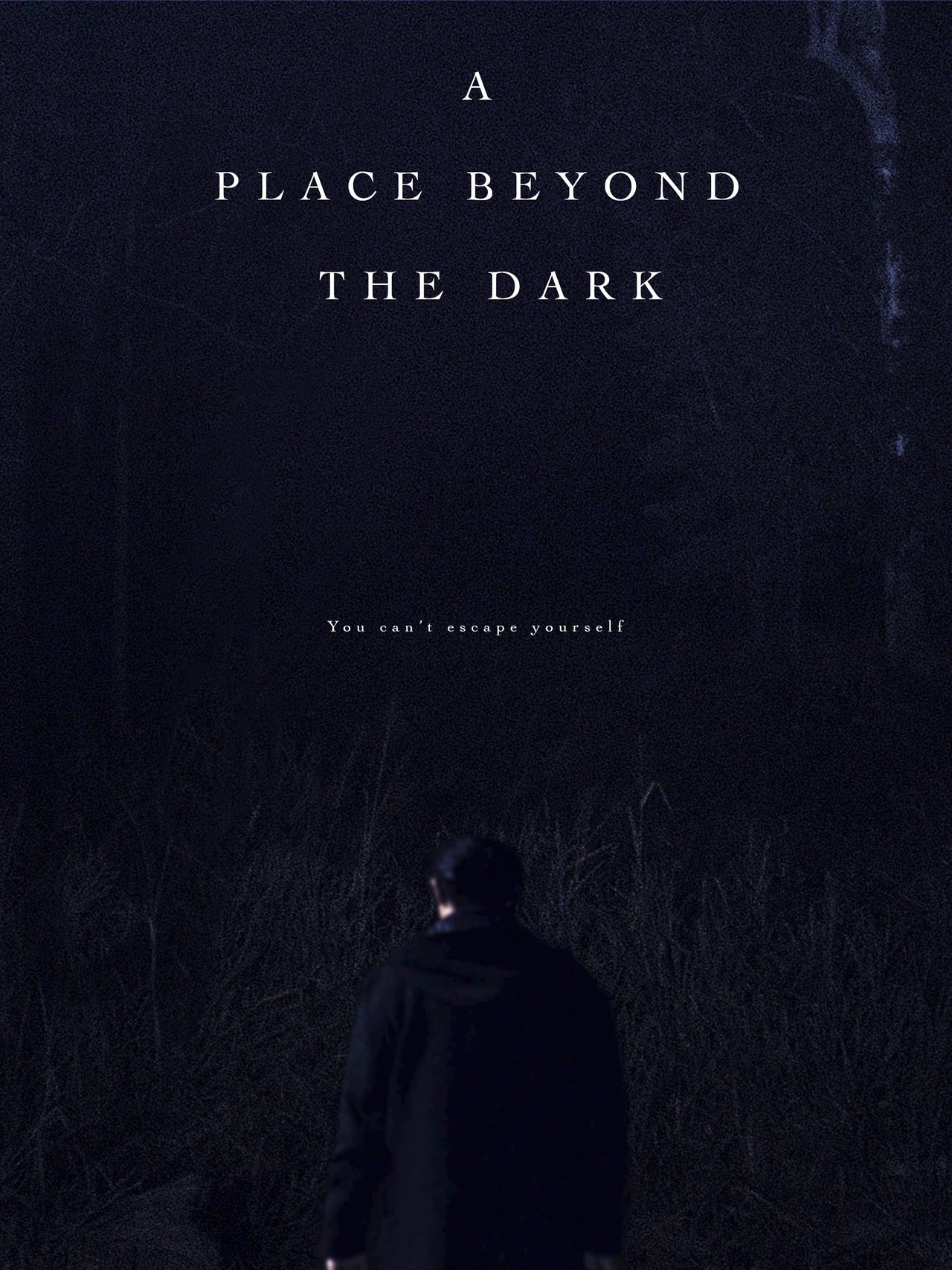 A Place Beyond the Dark Backdrop