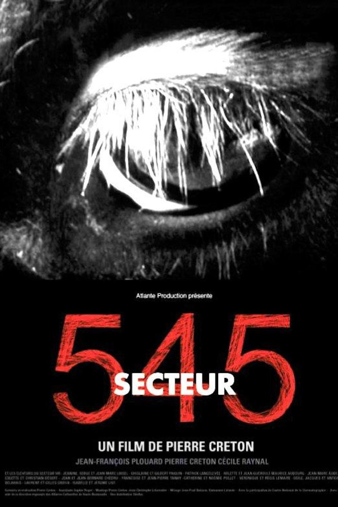 Secteur 545 filmaffisch