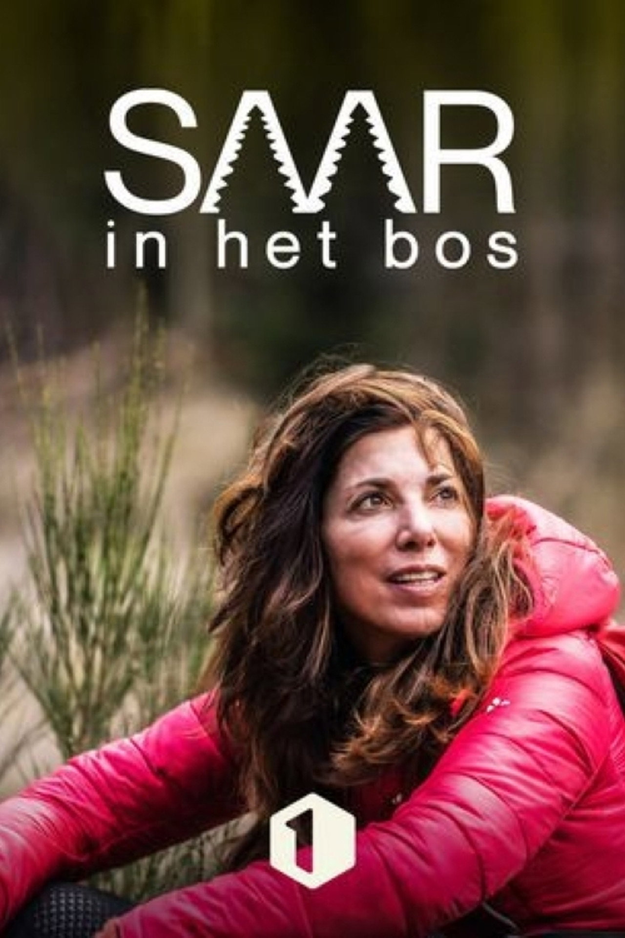 Saar in het bos