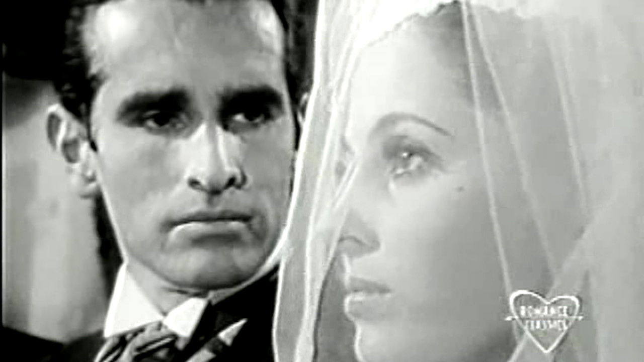 Episode #2.90 (pp-204)