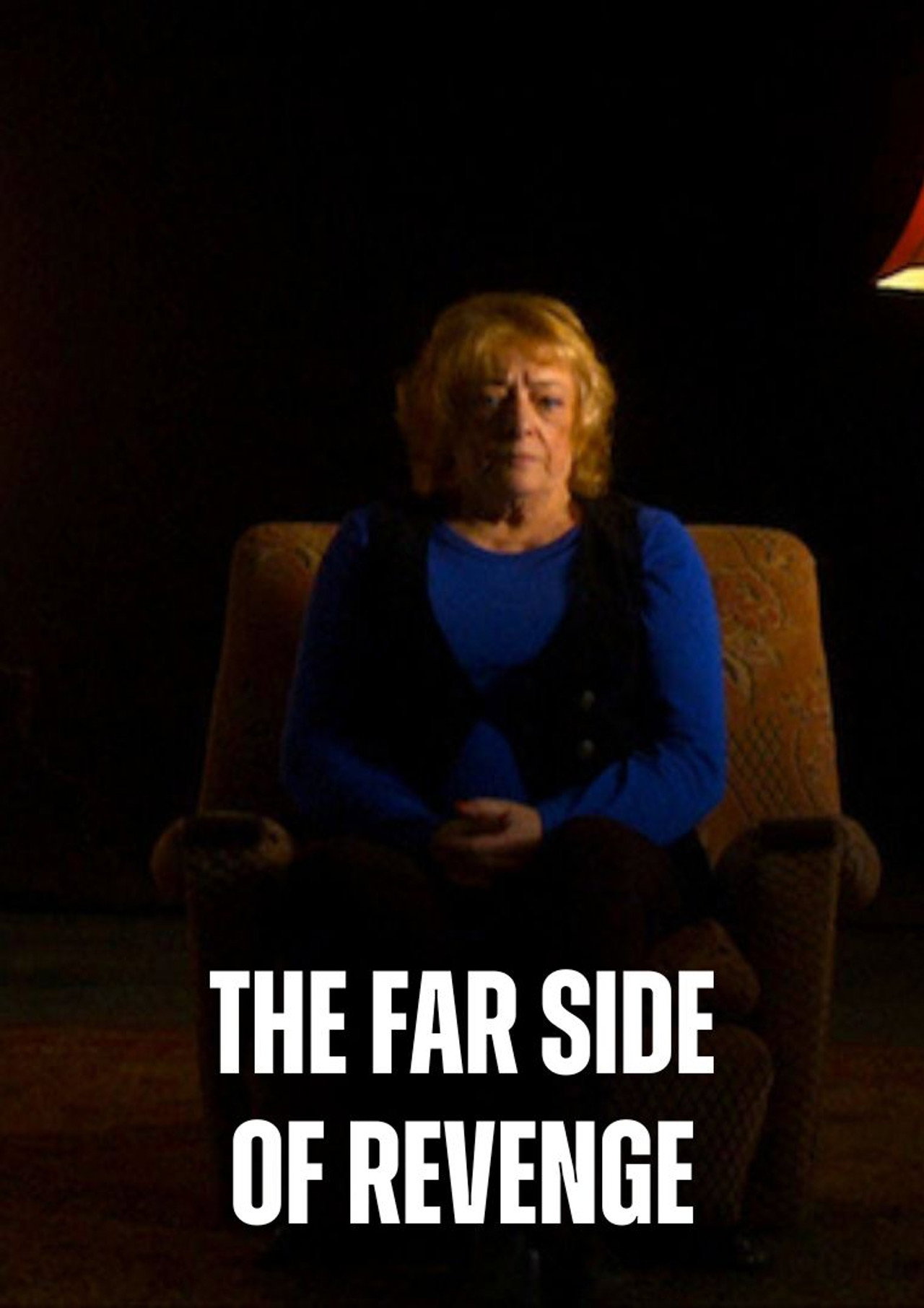The Far Side of Revenge filmaffisch