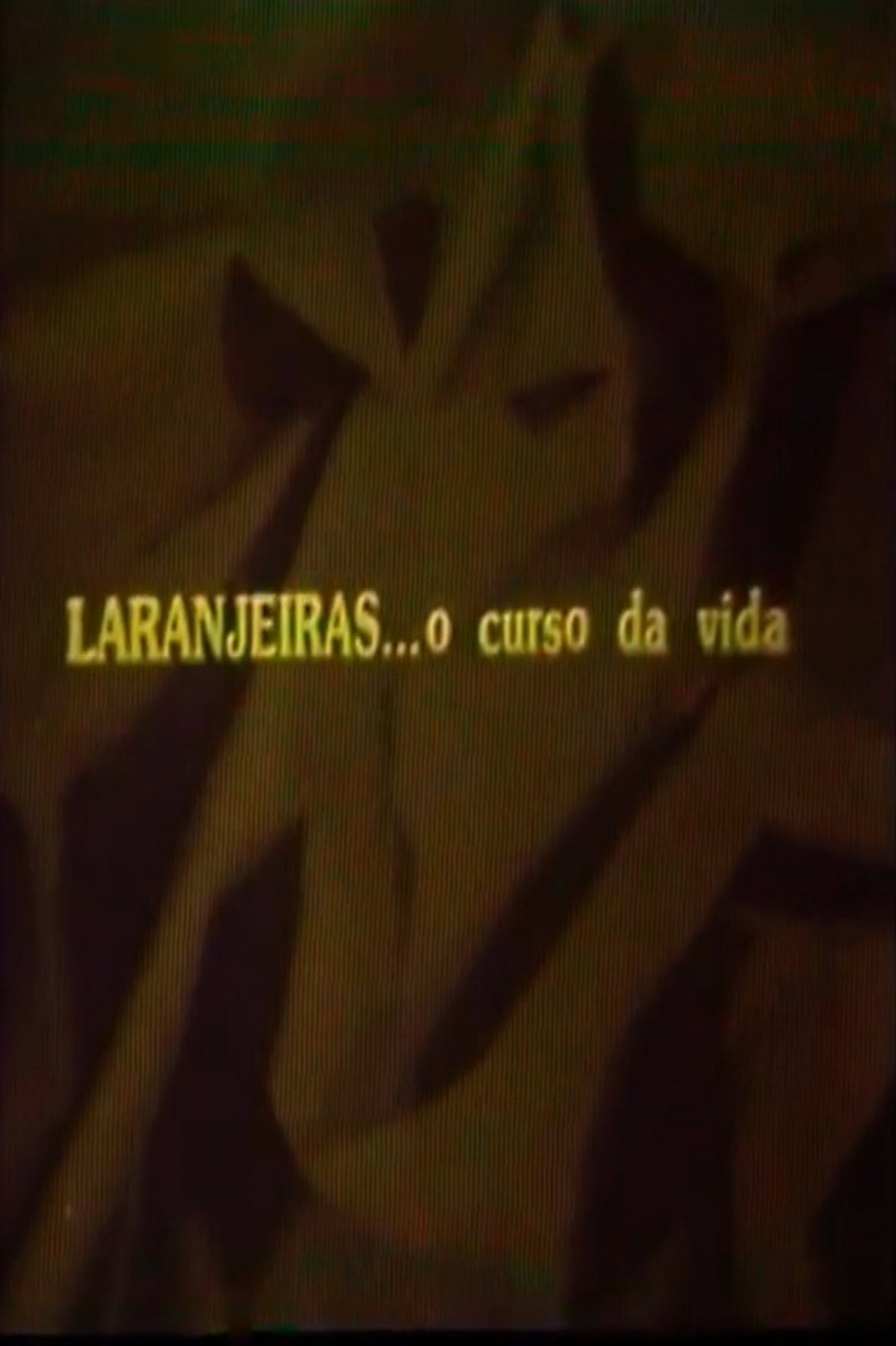 Laranjeiras... O Curso da Vida Backdrop