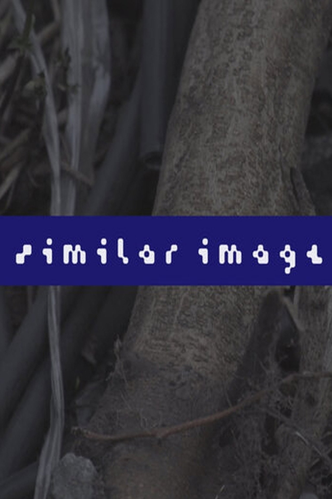 Similar Image
