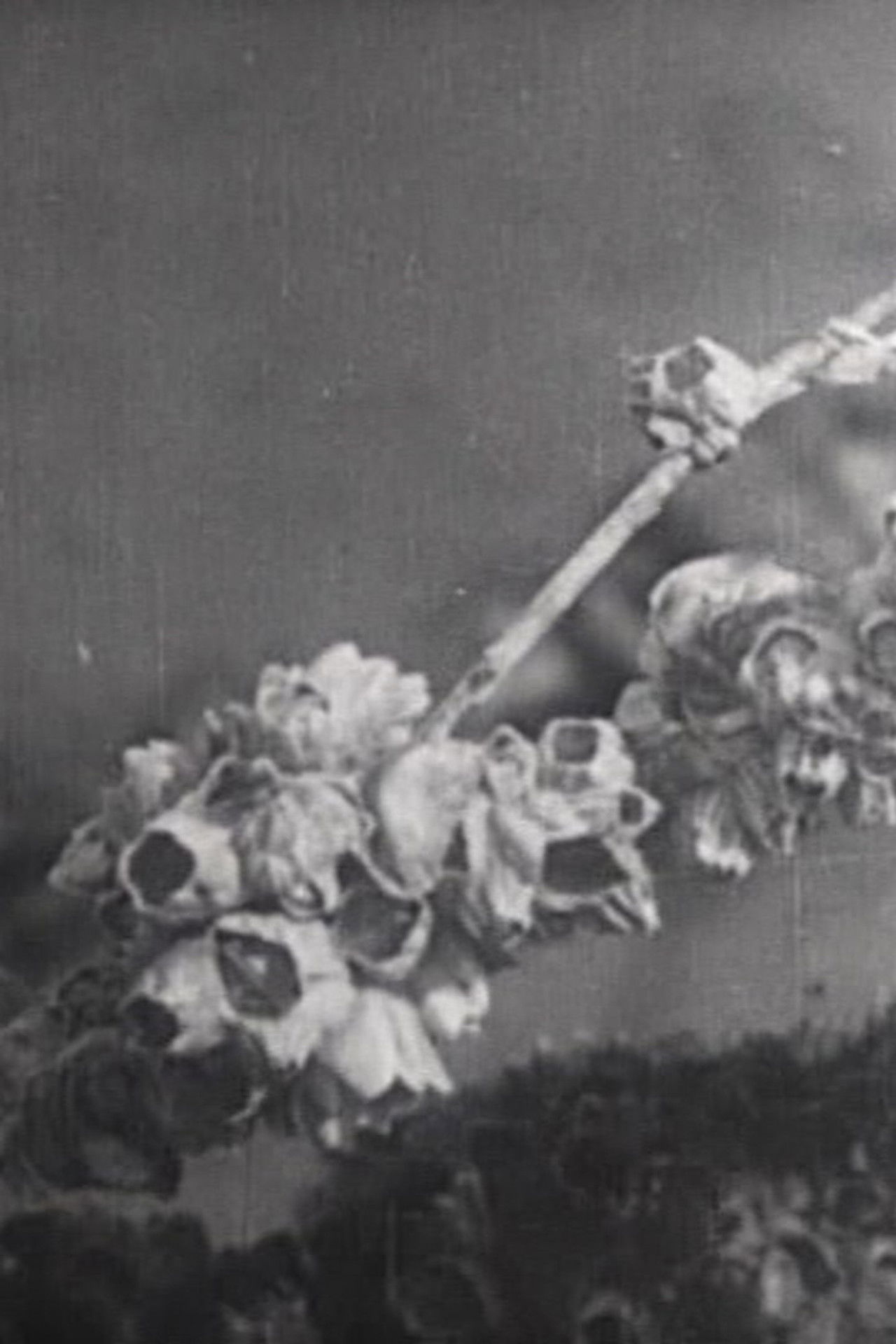 One day at the Tidelands Backdrop