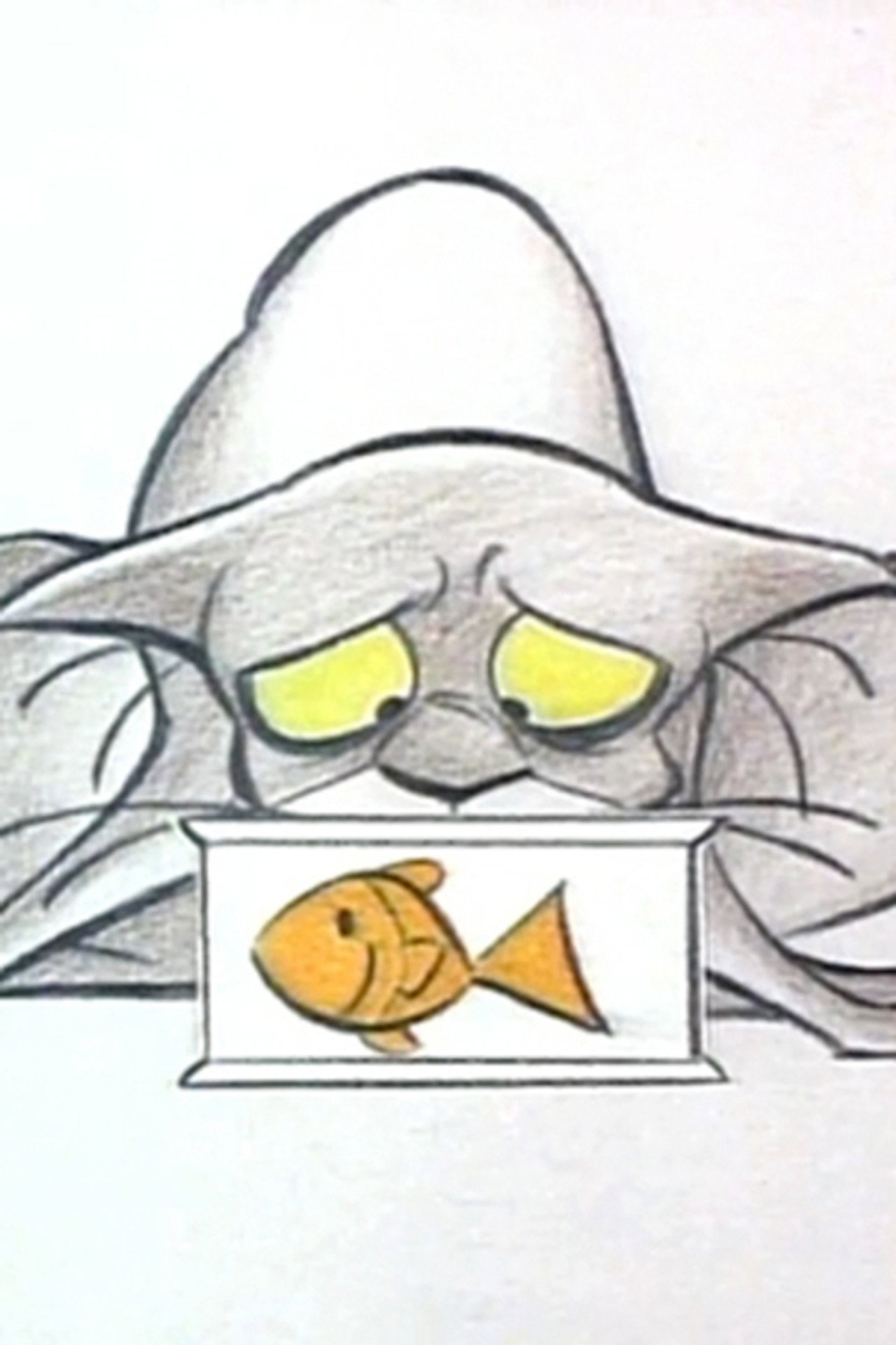 Cat's Can