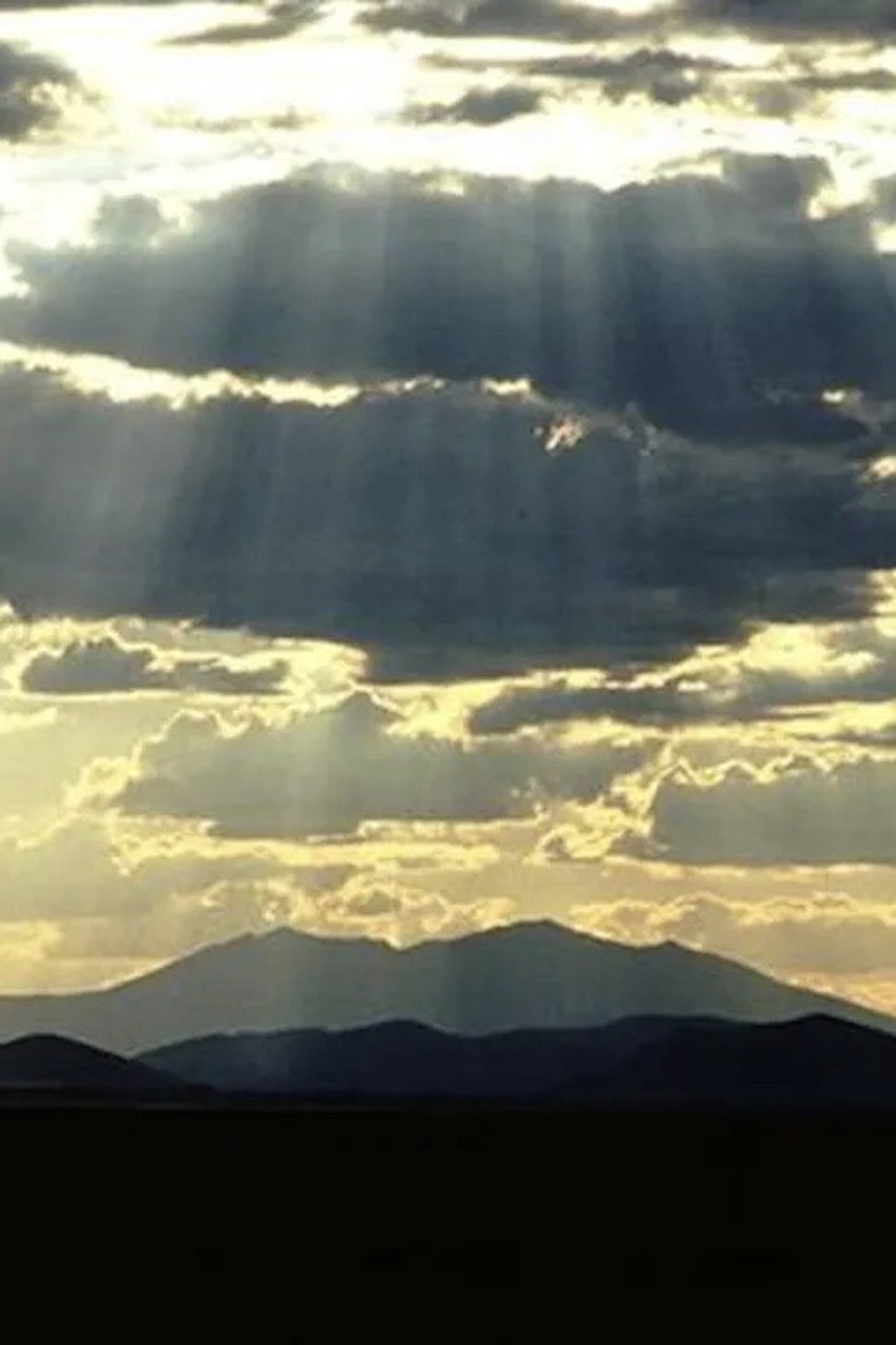 In the Light of Reverence Backdrop