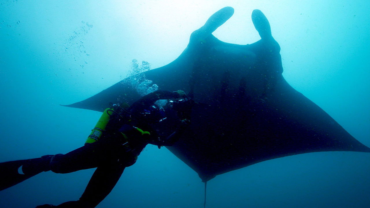 Deadly 60 — Épisode 6