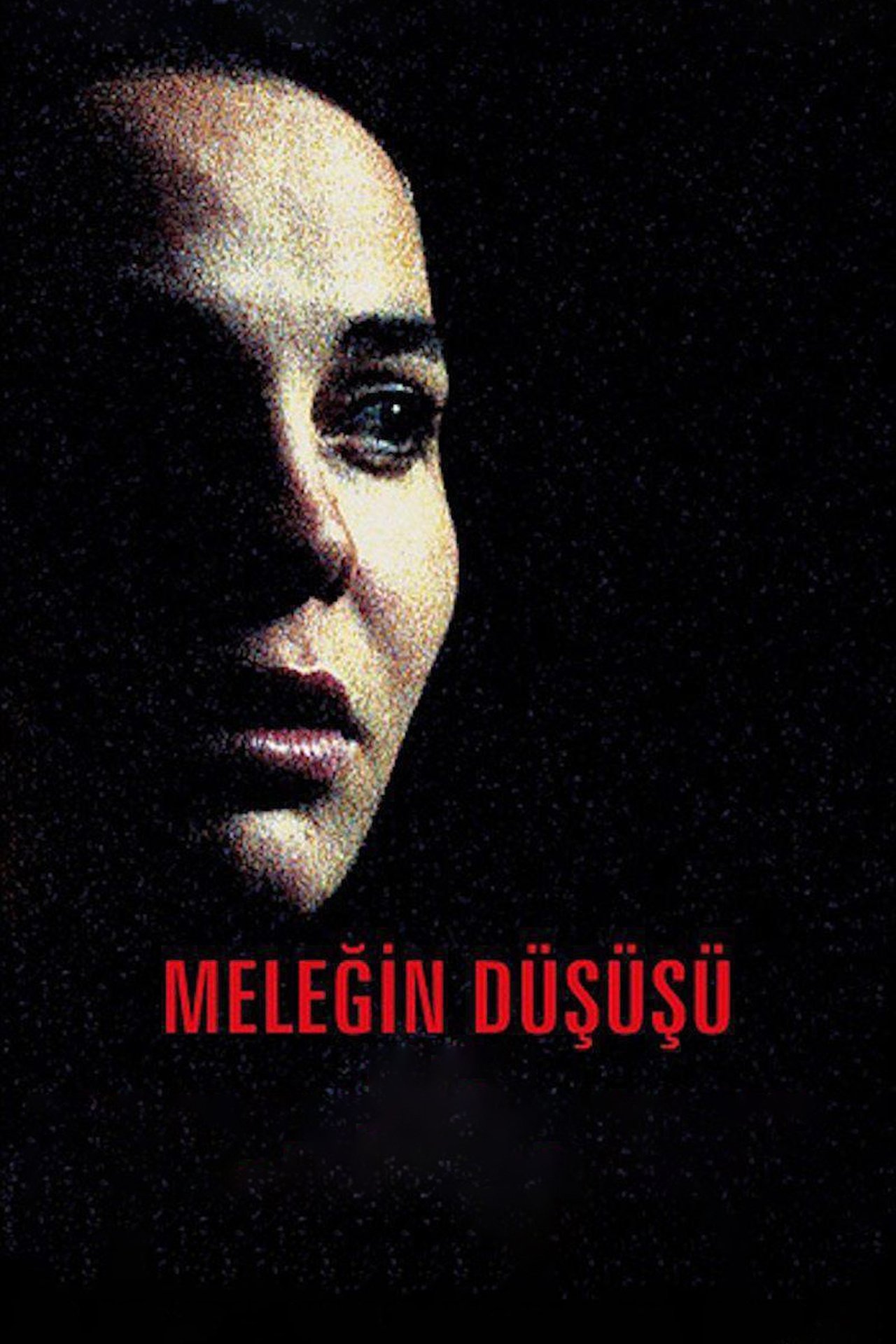 مشاهدة فيلم Angel's Fall مترجم بدون اعلانات - بوستر