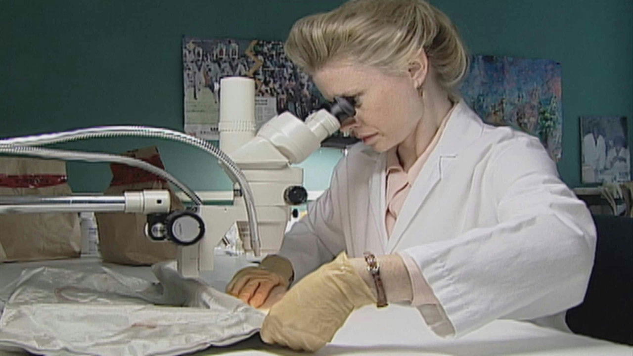 Les Nouveaux Detectives — Parcelles d’indices