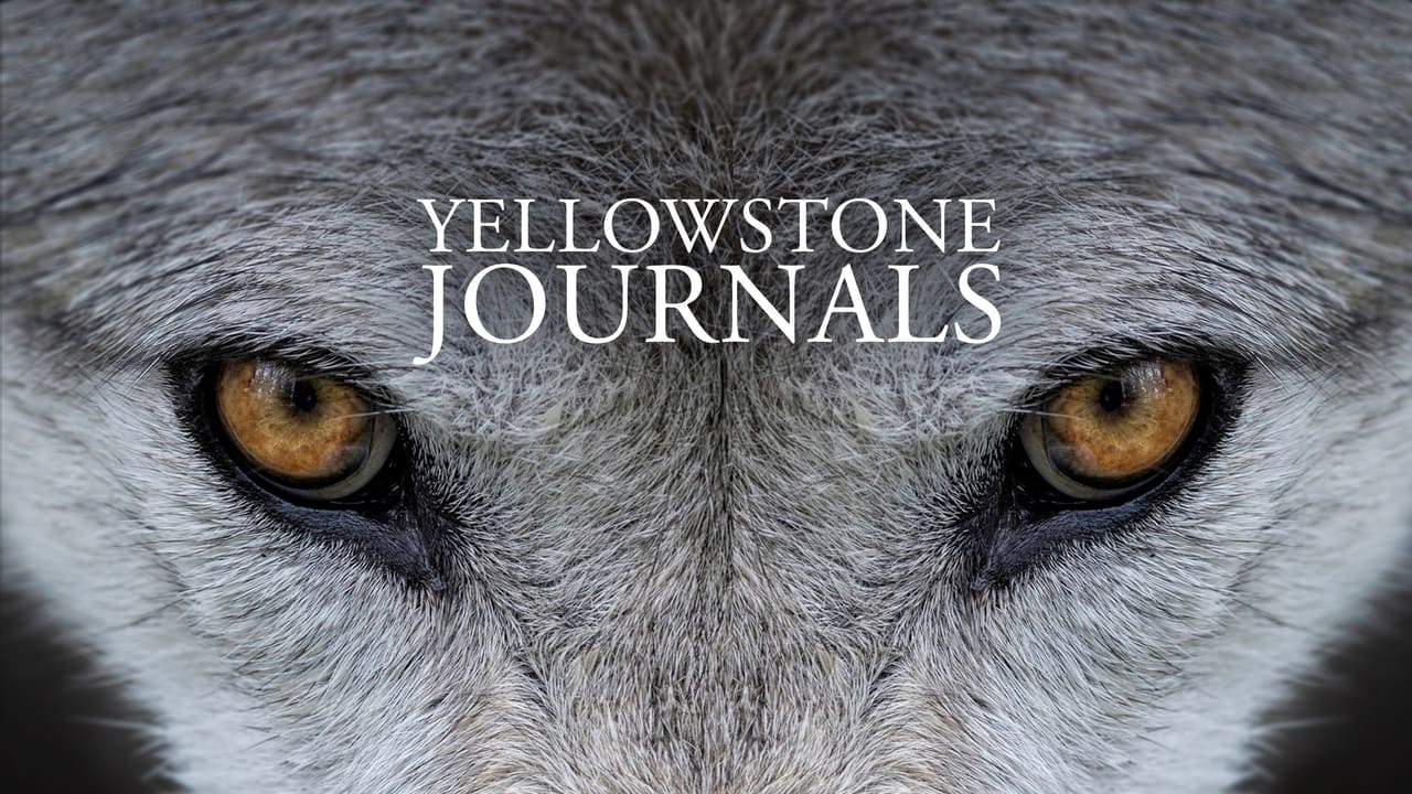 Yellowstone Journals background