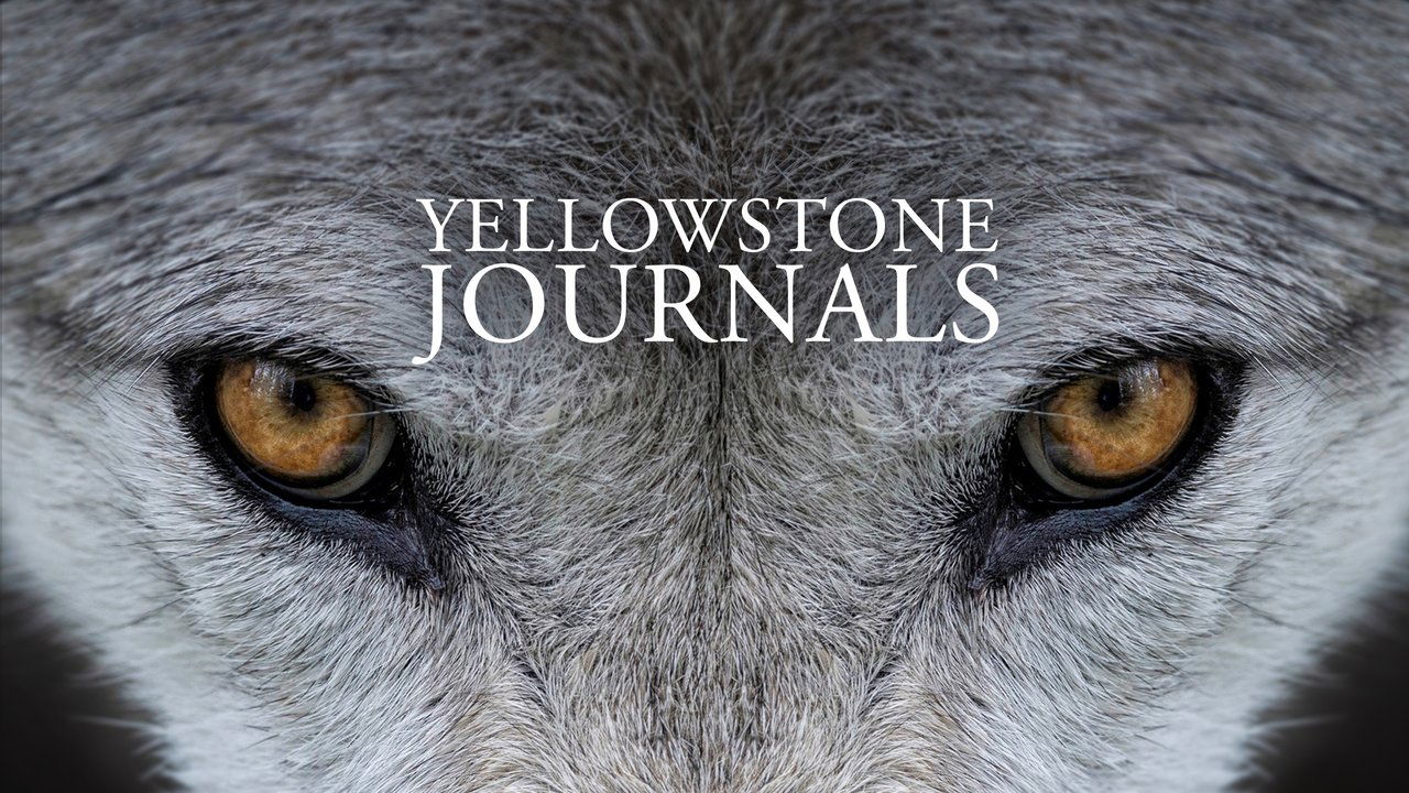 Yellowstone Journals background