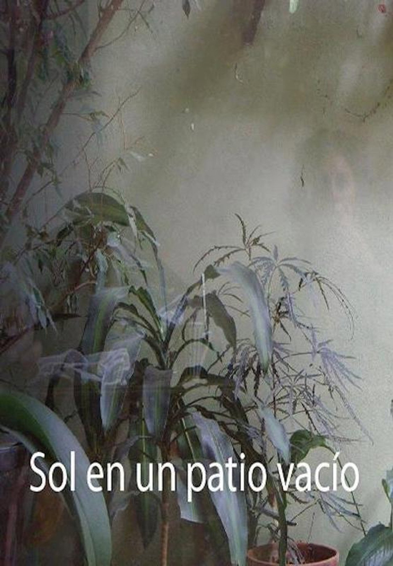 Sol en un patio vacío filmaffisch