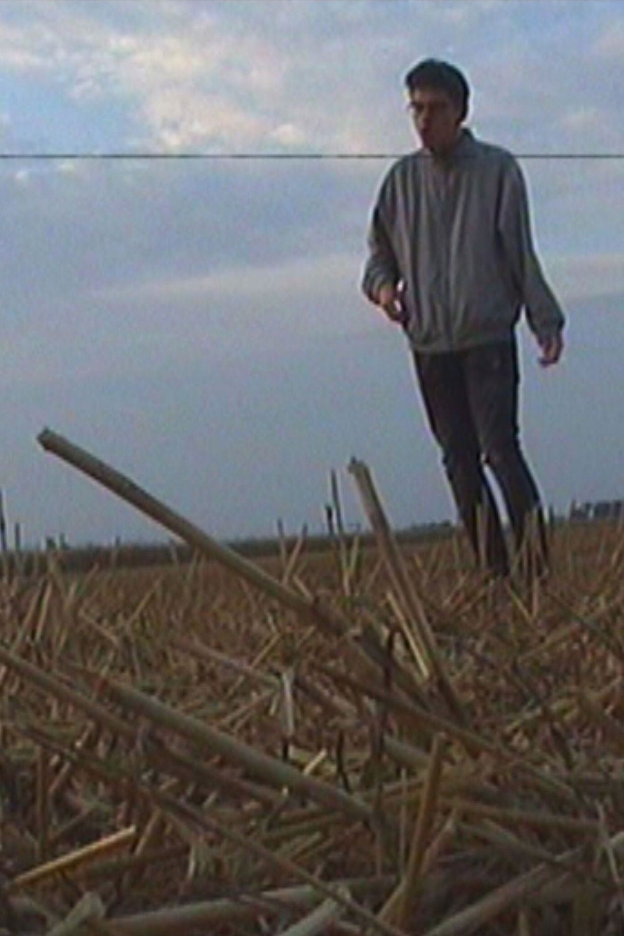 The Roots Of The Horizon Backdrop