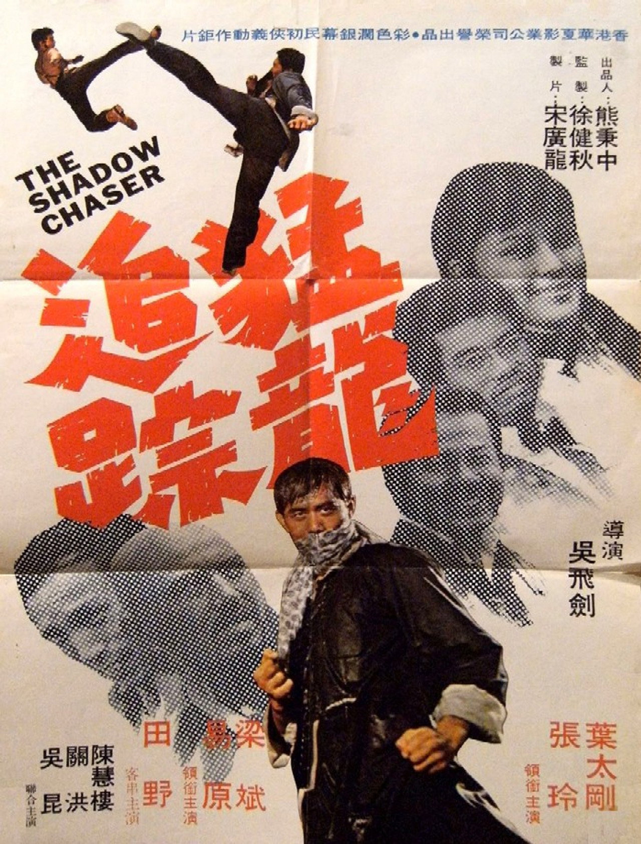 猛龍追踪 filmaffisch