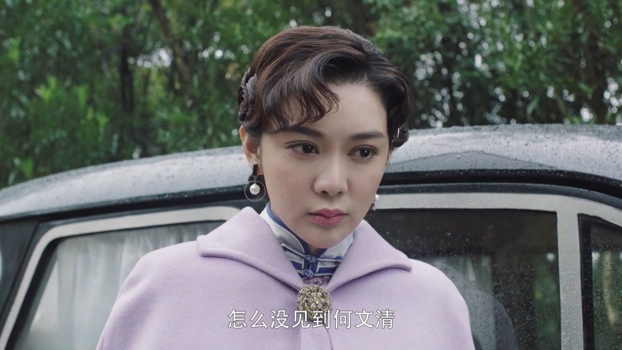 战地迷情 — Épisode 29