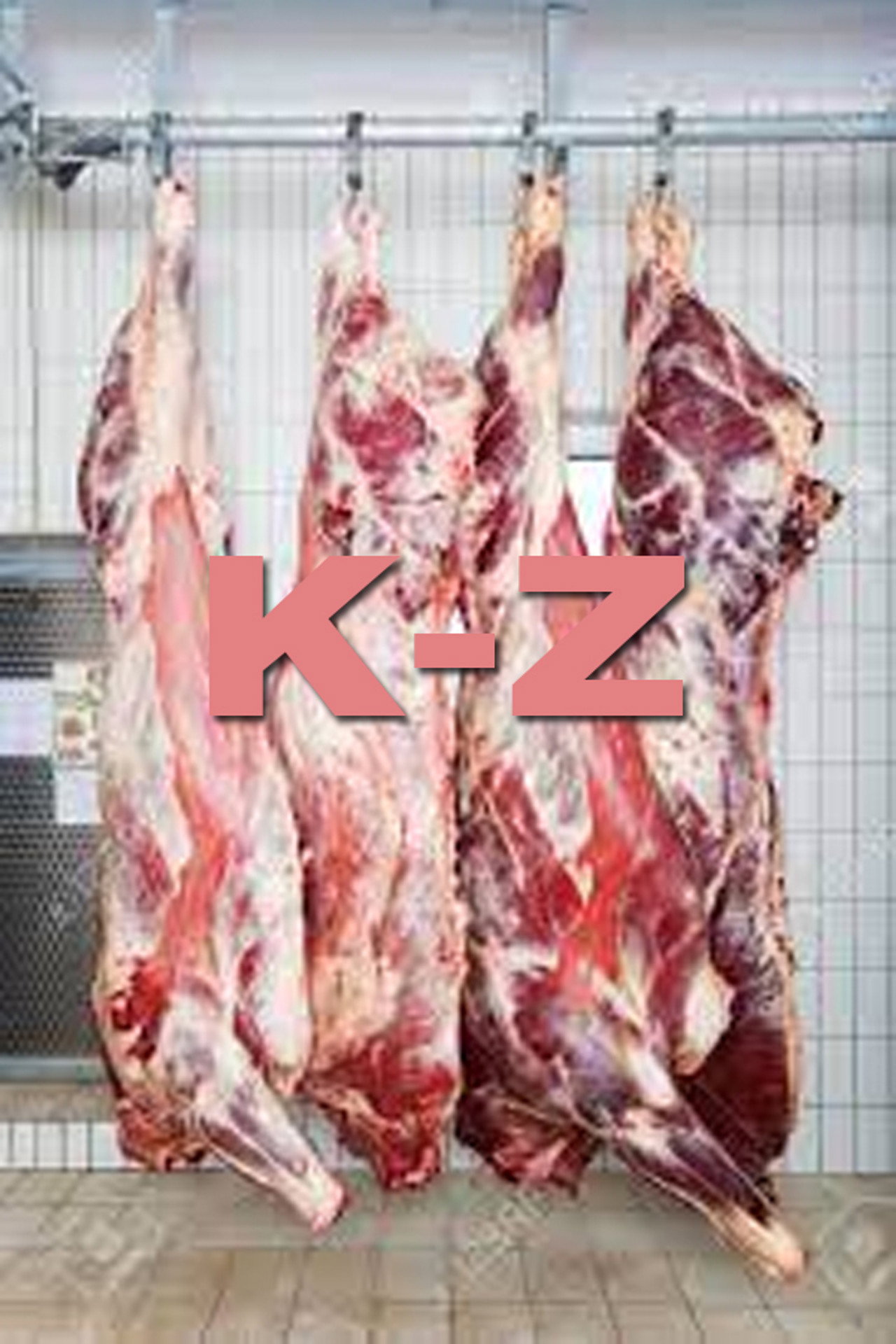 K-Z filmaffisch