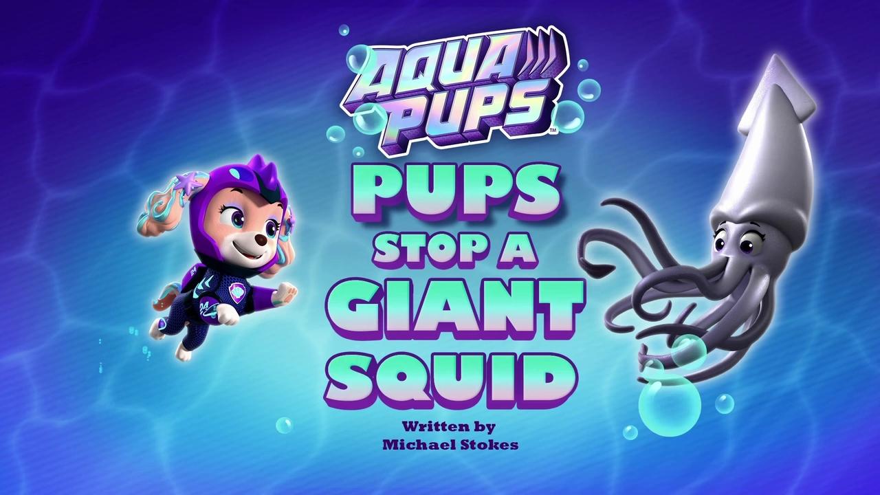 PAW Patrol - Season 9 Episode 27 : Aqua Pups: Pups Stop a Giant Squid