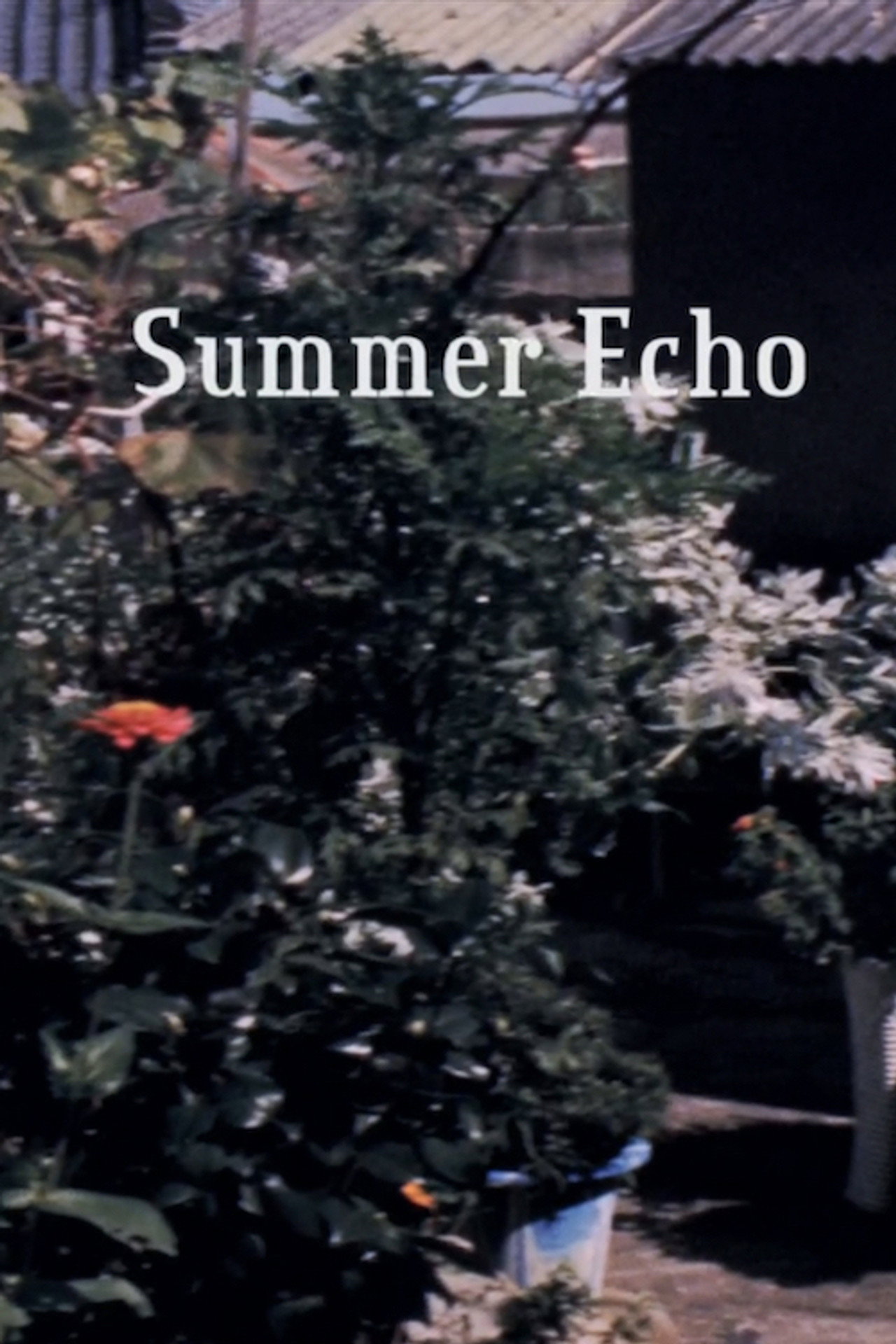 Summer Echo