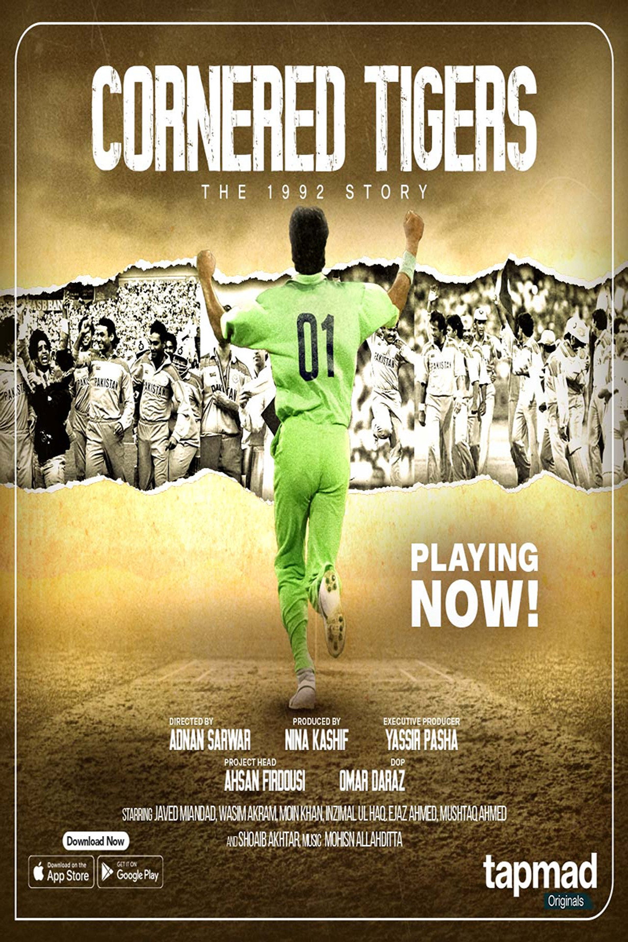 Cornered Tigers: The 1992 Story filmaffisch