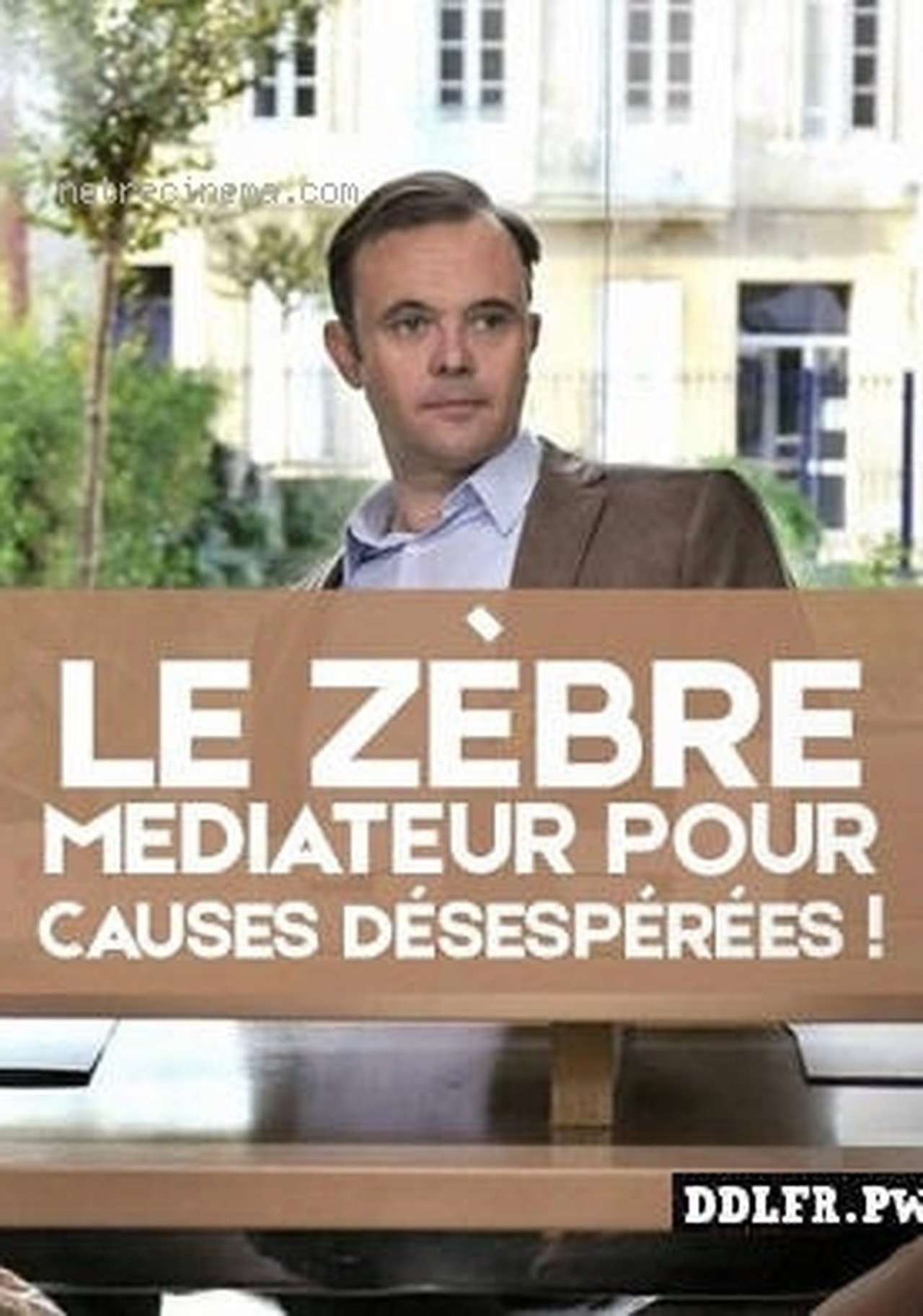 مشاهدة فيلم Le zèbre, médiateur pour causes désespérées ! مترجم بدون اعلانات - بوستر
