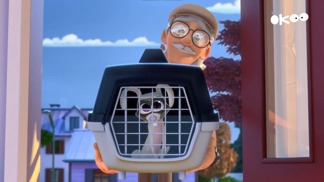 Paf, le chien — Furet-sitting