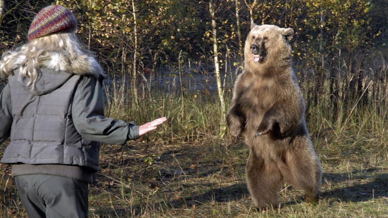 Tierärztin Dr. Mertens — Épisode 6