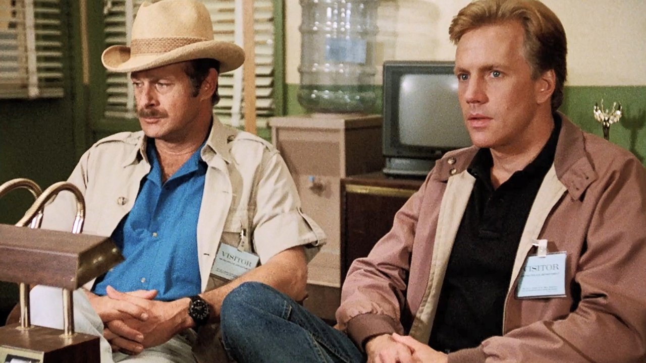 Simon & Simon - Season 8 Episode 4 : The Merry Adventures of Robert Hood