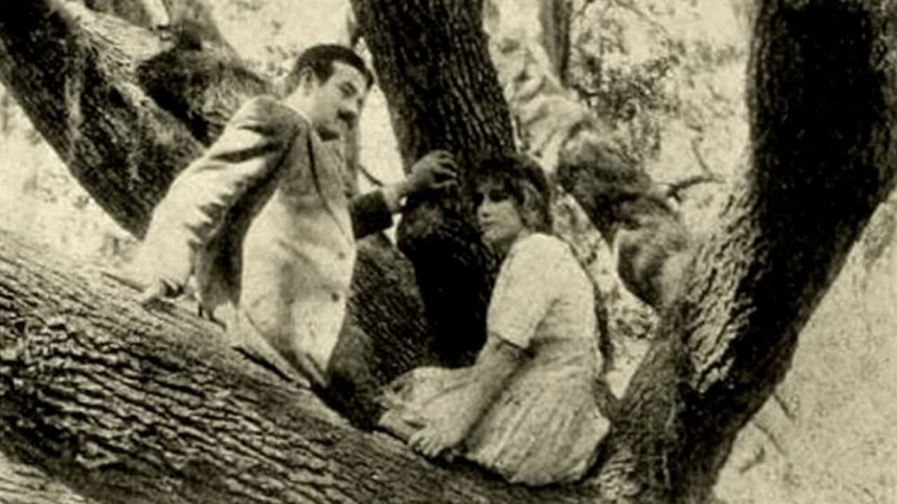 Scen från The Girl of the Grove