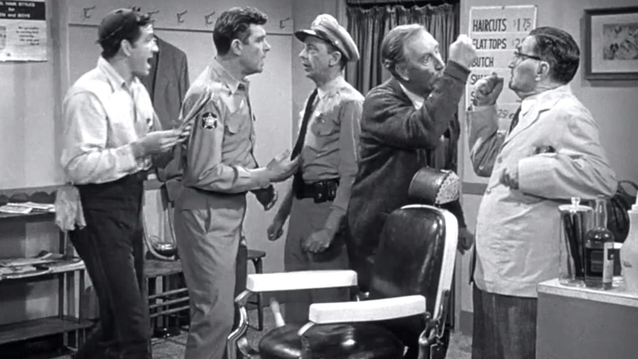 The Andy Griffith Show - Season 5 Episode 25 : The Case of the Punch in the Nose