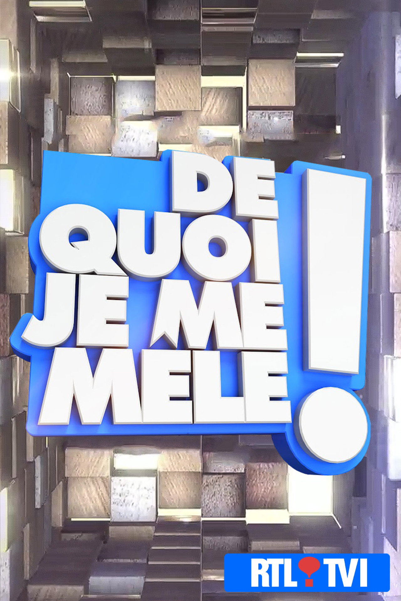 De quoi je me mêle ! affisch