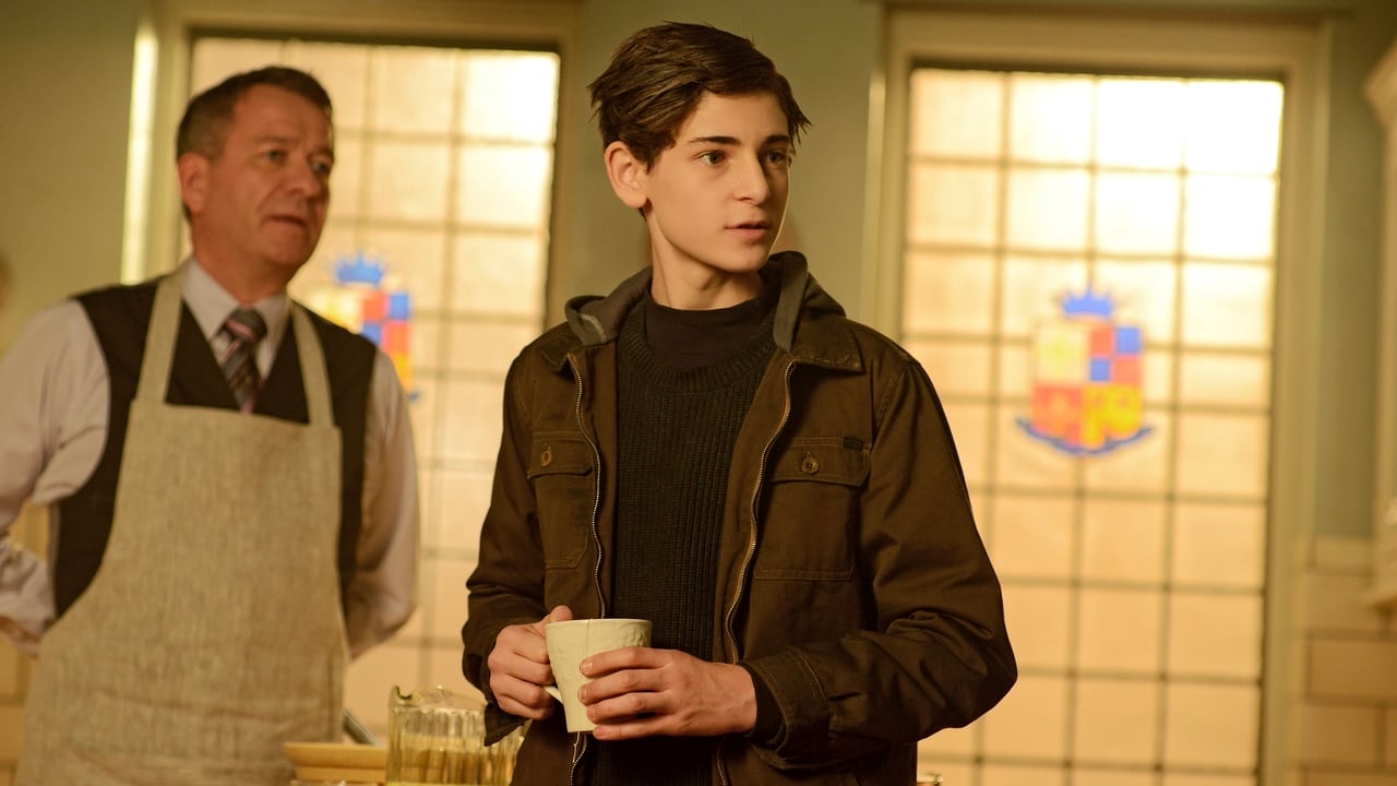 Gotham - Season 2 Episode 17 : Wrath of the Villains: Into The Woods