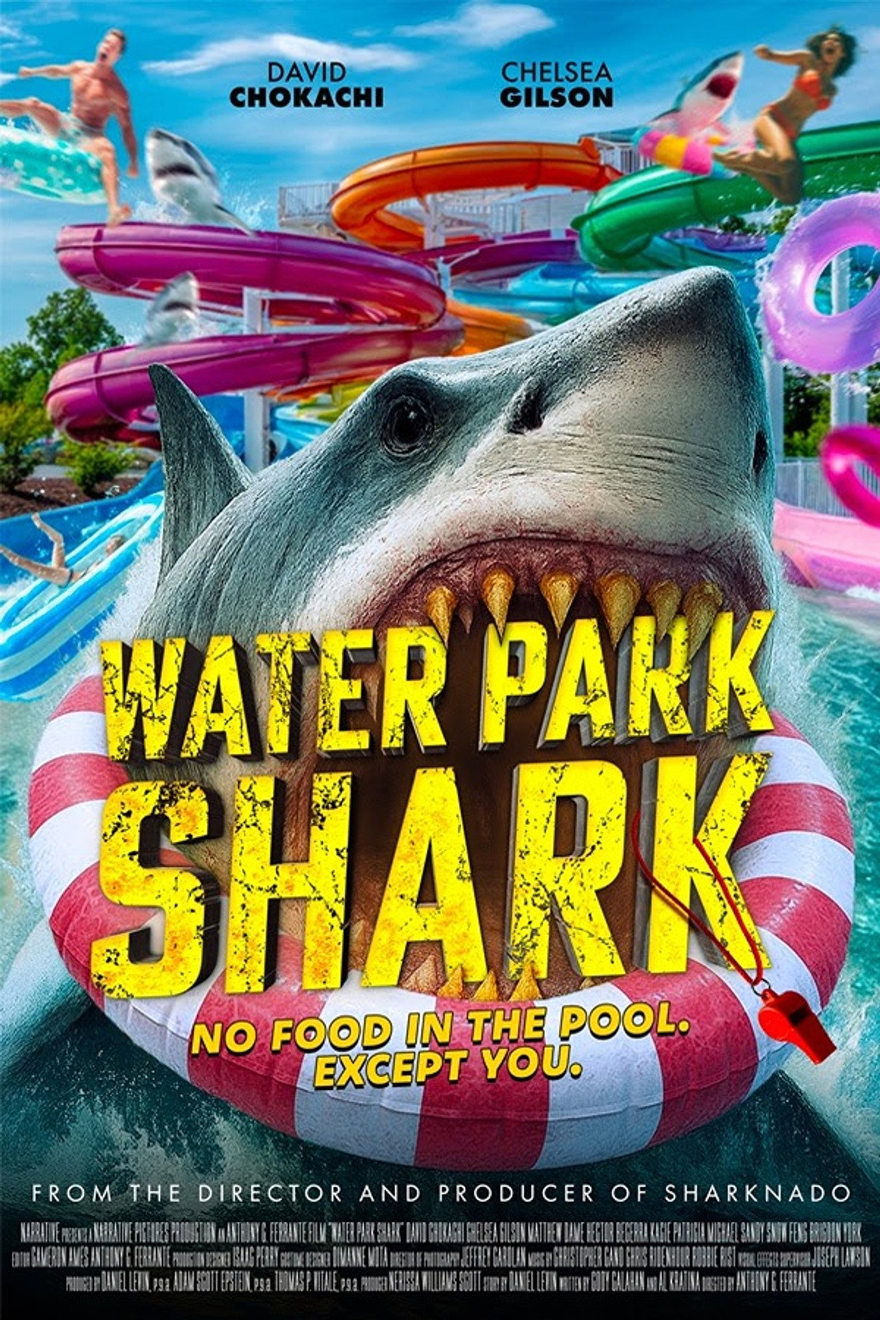 Water Park Shark Backdrop