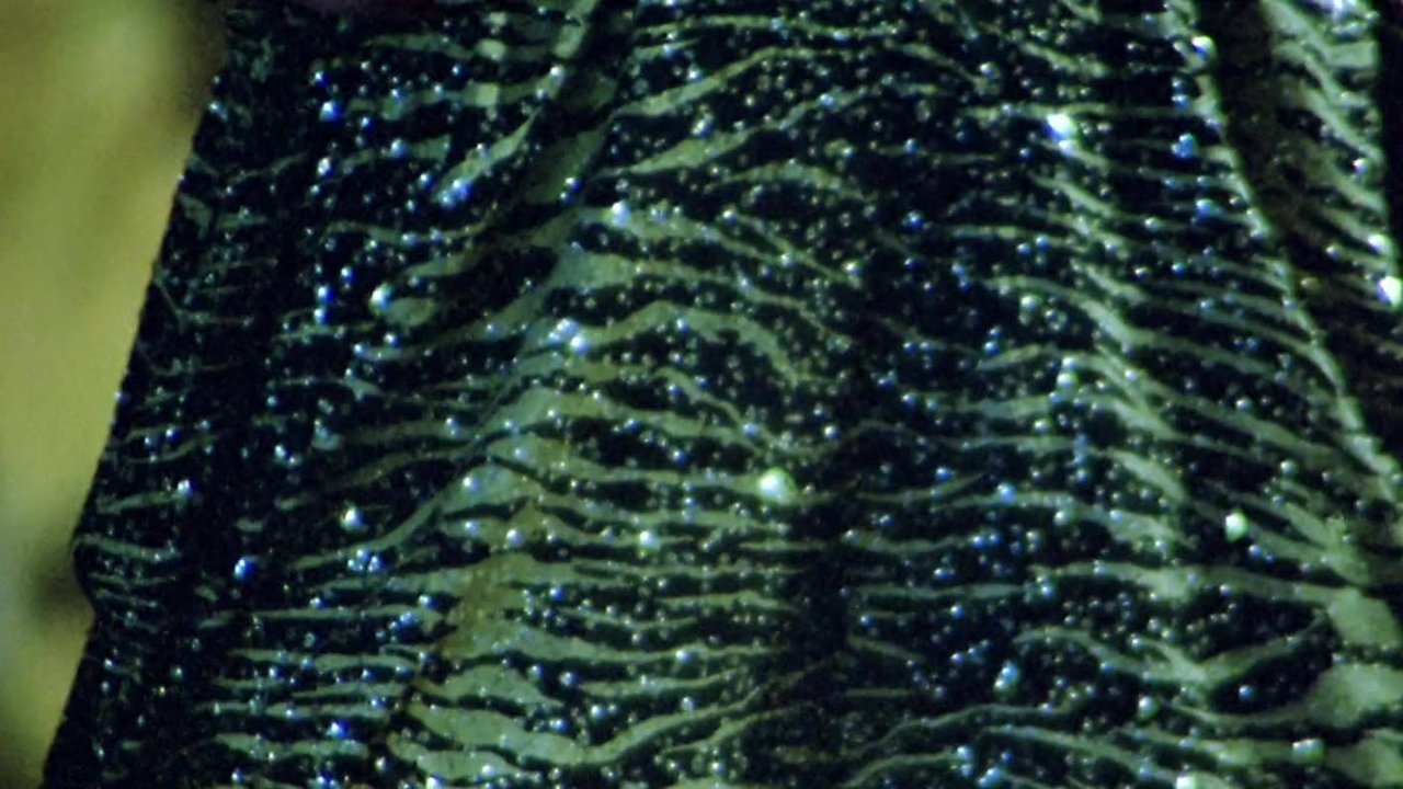 title image