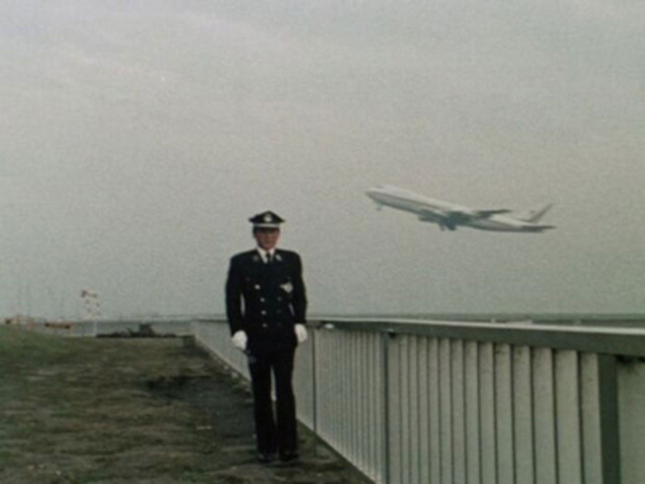 Fly into the Sky of Hope