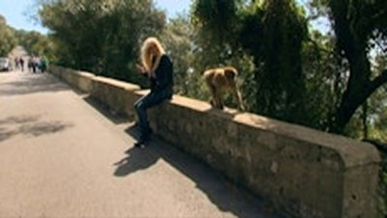 Familien fra Bryggen — Épisode 11