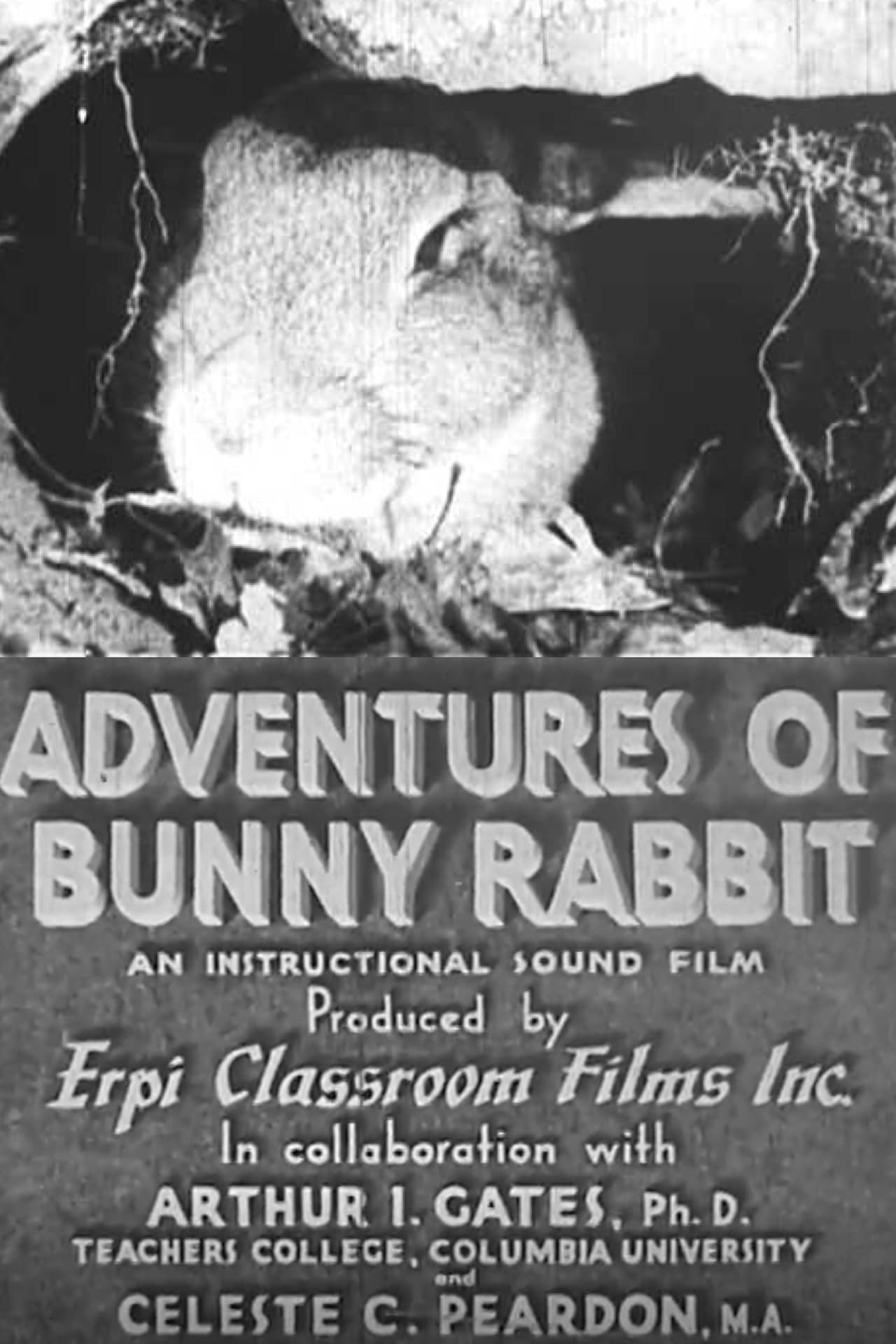 Adventures of Bunny Rabbit (1937)